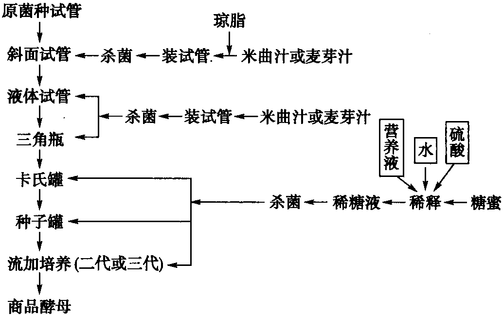 第一节 扩大培养工艺流程